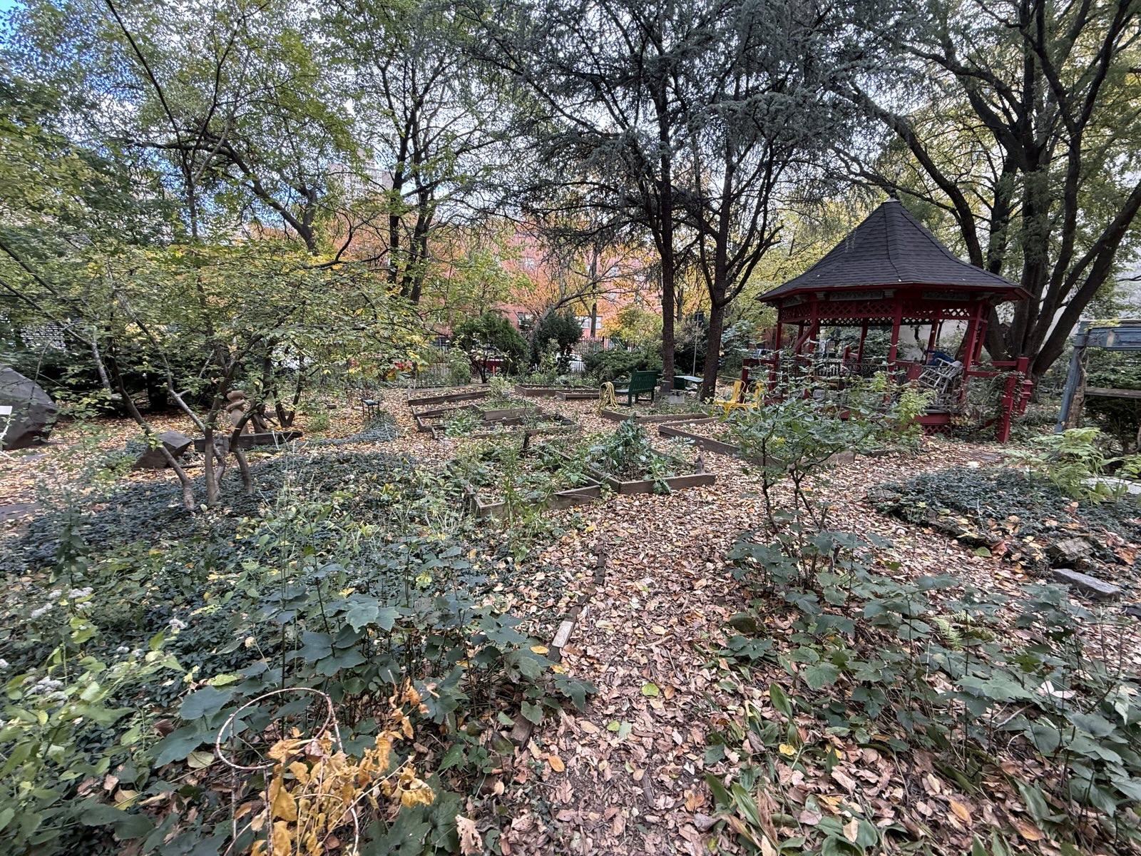A shady garden
