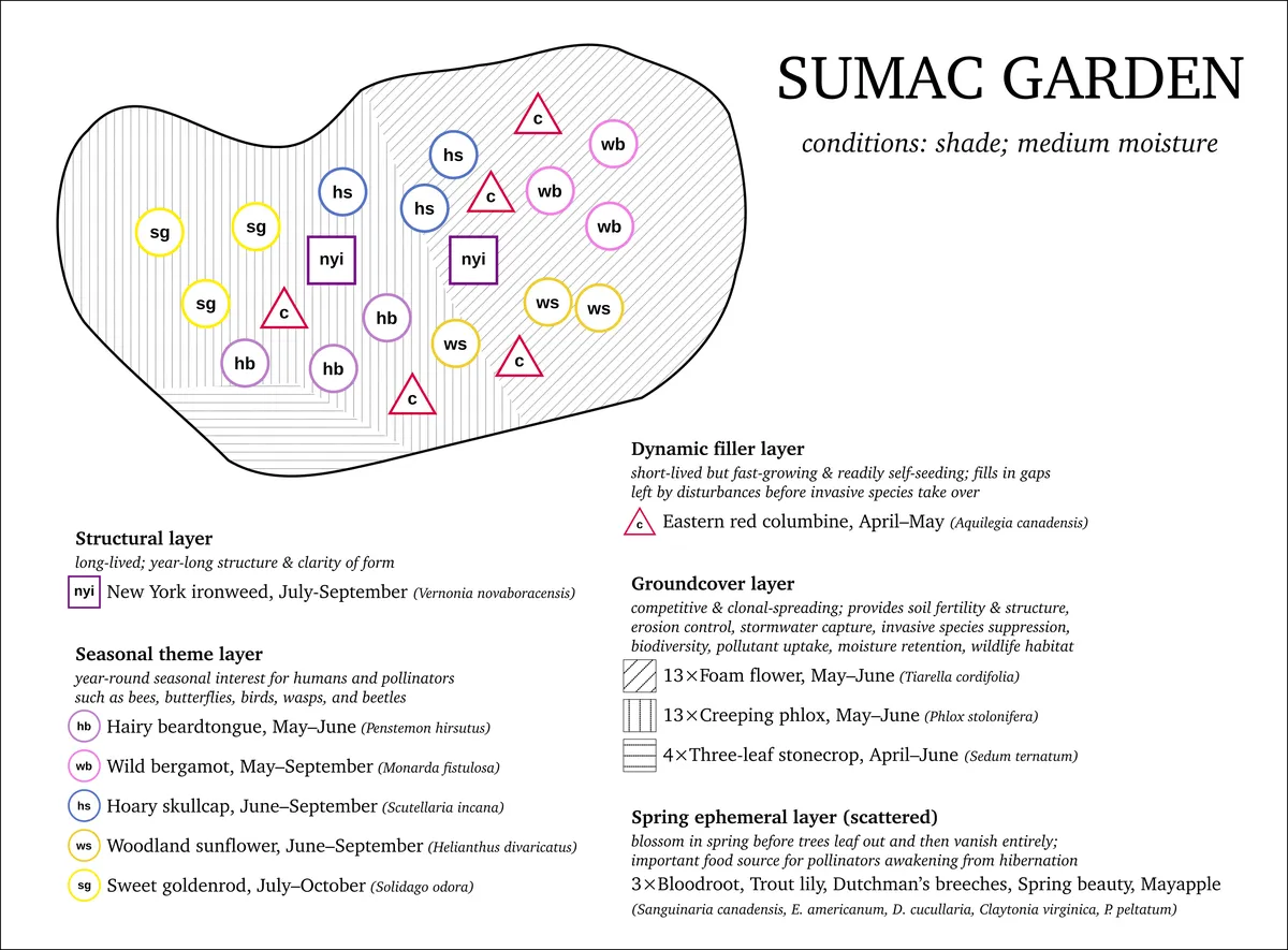 Garden plan